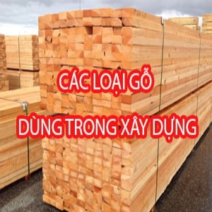 Các loại gỗ thường được sử dụng trong công trình xây dựng